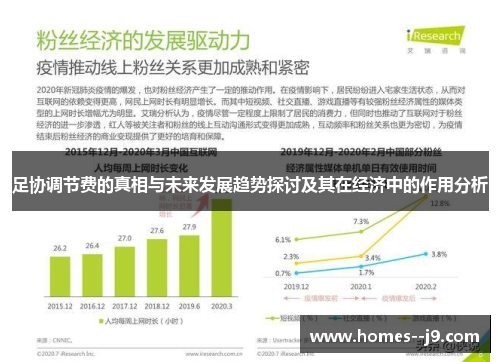 足协调节费的真相与未来发展趋势探讨及其在经济中的作用分析