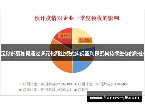 足球部落如何通过多元化商业模式实现盈利探索其持续生存的秘密